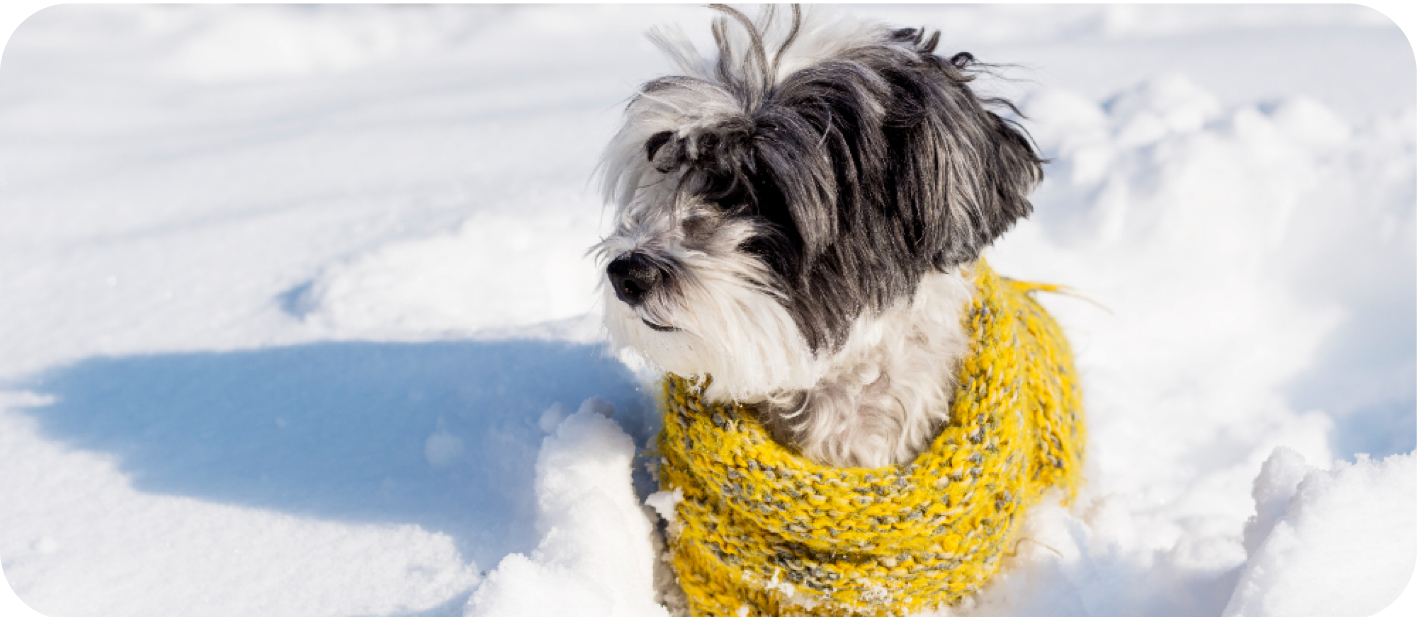 telen-is orizd-meg-az -egeszseget